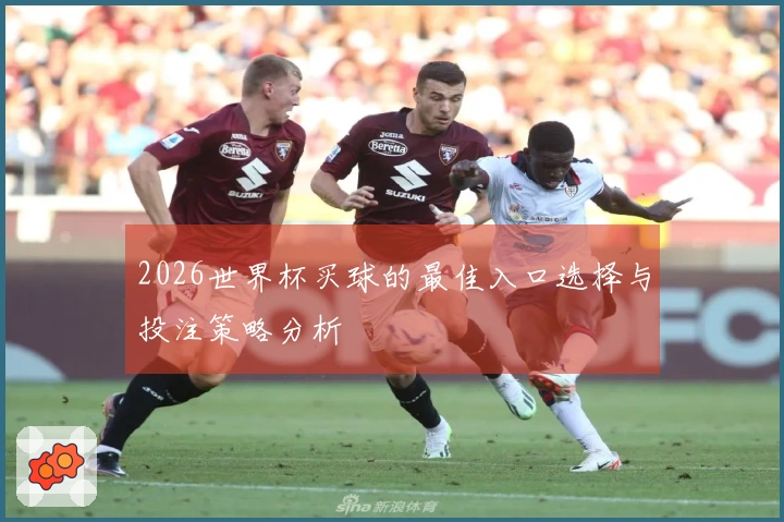 2026世界杯买球的最佳入口选择与投注策略分析