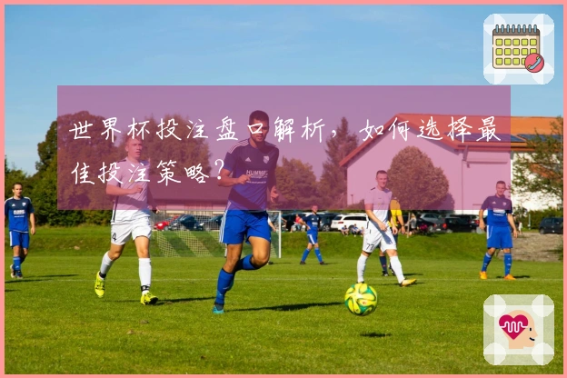 世界杯投注盘口解析，如何选择最佳投注策略？