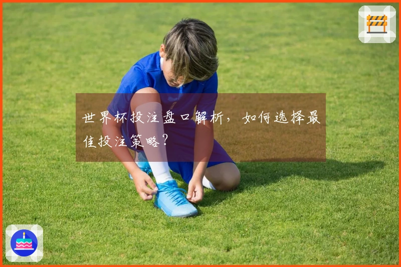 世界杯投注盘口解析，如何选择最佳投注策略？