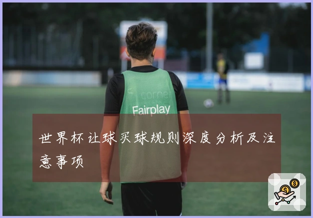 世界杯让球买球规则深度分析及注意事项