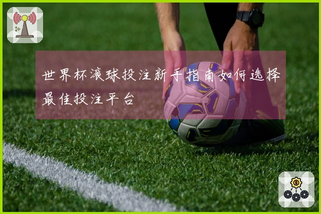 世界杯滚球投注新手指南如何选择最佳投注平台