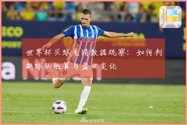 世界杯买球竞猜数据观察：如何判断球队胜算与盘口变化