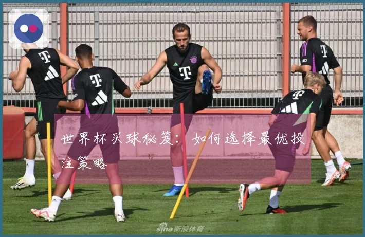 世界杯买球秘笈：如何选择最优投注策略