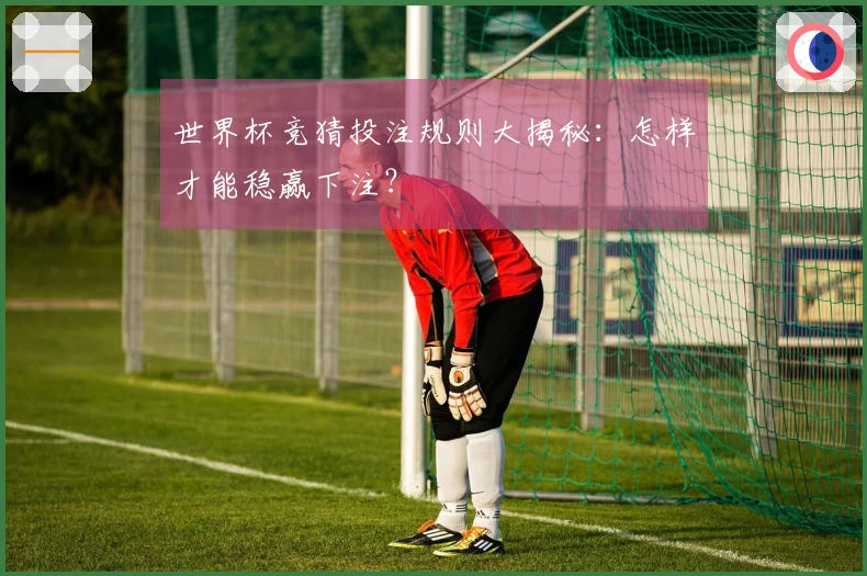 世界杯竞猜投注规则大揭秘：怎样才能稳赢下注？