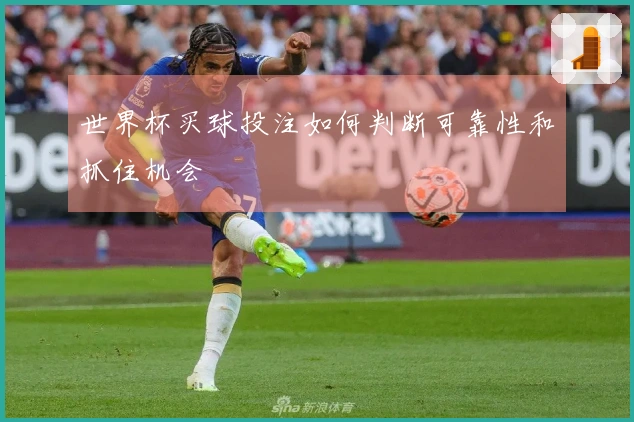 世界杯买球投注如何判断可靠性和抓住机会