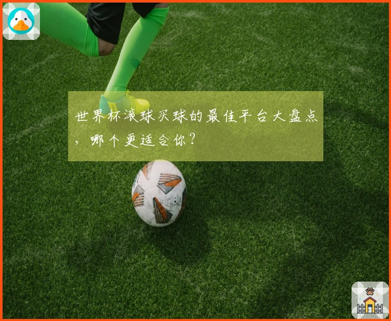 世界杯滚球买球的最佳平台大盘点，哪个更适合你？