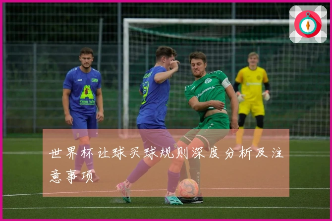 世界杯让球买球规则深度分析及注意事项