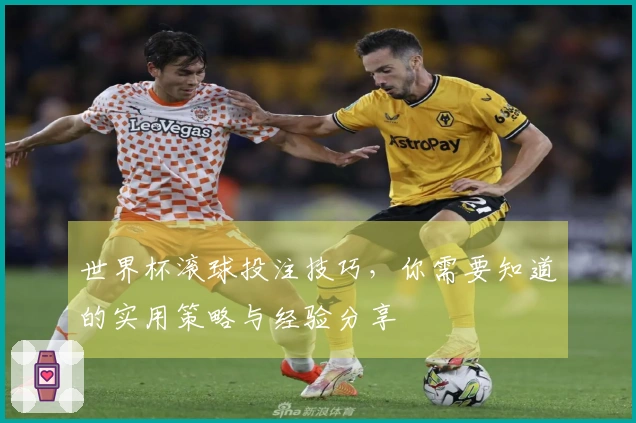 世界杯滚球投注技巧，你需要知道的实用策略与经验分享