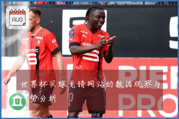 世界杯买球竞猜网站的数据观察与趋势分析