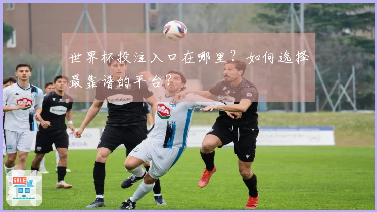 世界杯投注入口在哪里？如何选择最靠谱的平台？