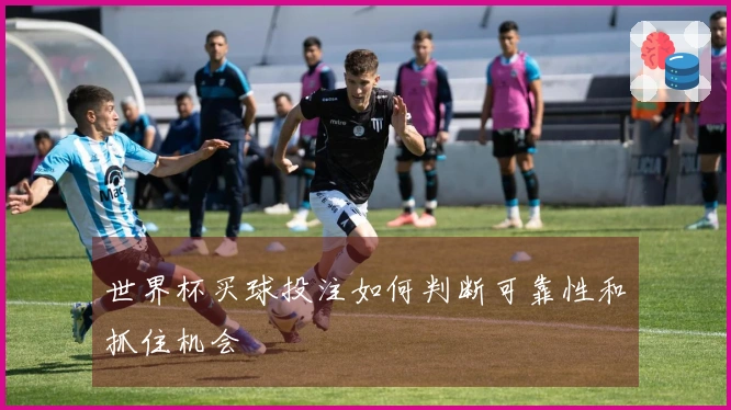 世界杯买球投注如何判断可靠性和抓住机会