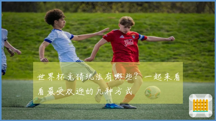 世界杯竞猜玩法有哪些？一起来看看最受欢迎的几种方式